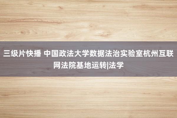 三级片快播 中国政法大学数据法治实验室杭州互联网法院基地运转|法学