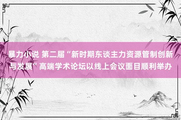 暴力小说 第二届“新时期东谈主力资源管制创新与发展”高端学术