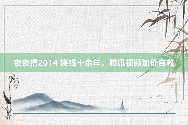 夜夜撸2014 烧钱十余年，腾讯视频加价自救