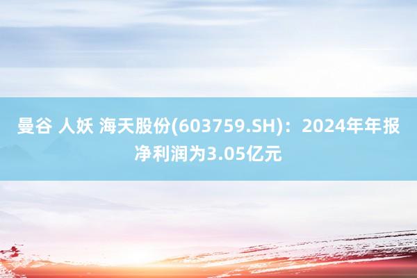 曼谷 人妖 海天股份(603759.SH)：2024年年报净