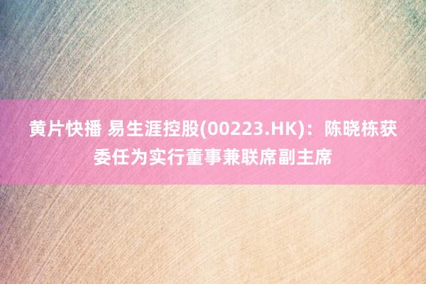 黄片快播 易生涯控股(00223.HK)：陈晓栋获委任为实行
