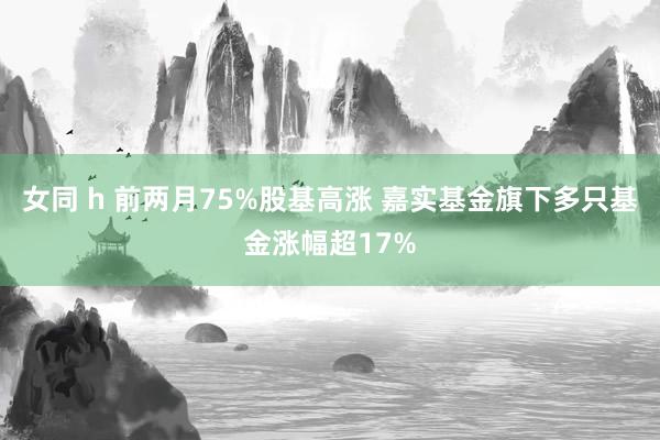 女同 h 前两月75%股基高涨 嘉实基金旗下多只基金涨幅超1