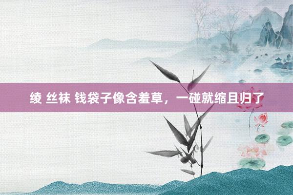 绫 丝袜 钱袋子像含羞草，一碰就缩且归了