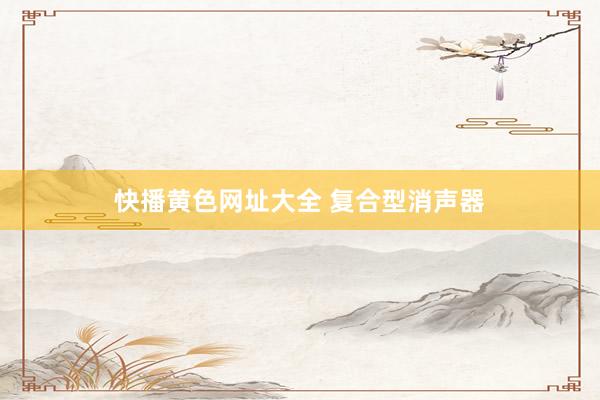 快播黄色网址大全 复合型消声器