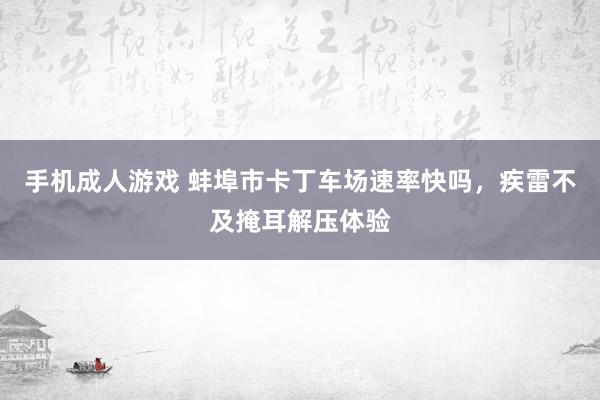 手机成人游戏 蚌埠市卡丁车场速率快吗，疾雷不及掩耳解压体验