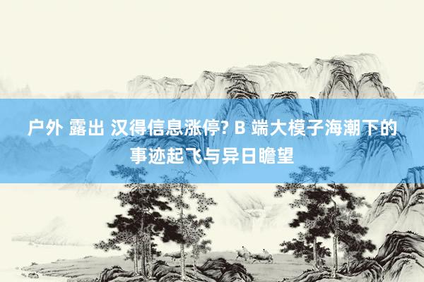 户外 露出 汉得信息涨停? B 端大模子海潮下的事迹起飞与异